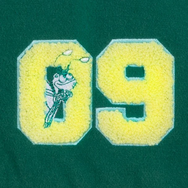 Disney Tiana Varsity Jacket For Adults By Color Me Courtney – The Princess And The Frog - Image 6